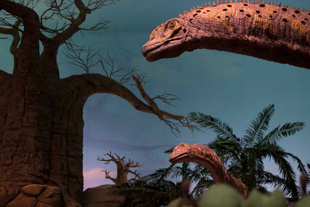 Dinoshow-3